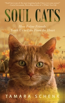 Paperback Soul Cats: How Our Feline Friends Teach Us to Live from the Heart Book