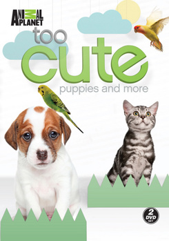 DVD Too Cute Puppies: Season 2, Volume 1 Book