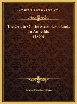 The Origin Of The Mesoblast-Bands In Annelids