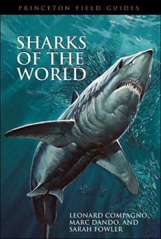 Paperback Sharks of the World Book
