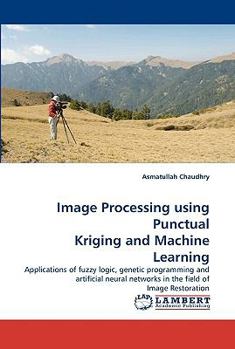 Paperback Image Processing Using Punctual Kriging and Machine Learning Book