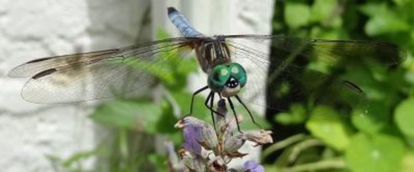 Paperback tempore: a journey through the seasons Book
