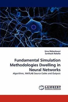 Paperback Fundamental Simulation Methodologies Dwelling in Neural Networks Book