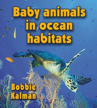 Paperback Baby Animals in Ocean Habitats Book