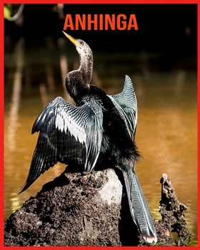 Paperback Anhinga: Fun Facts & Cool Pictures Book