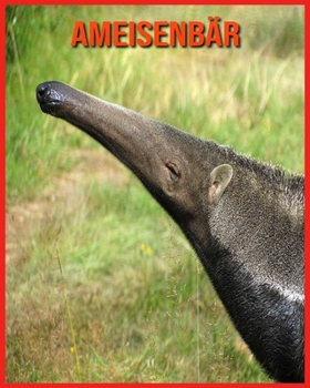 Ameisenb?r: Erstaunliche Fakten & Bilder