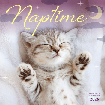2026 Naptime Wall Calendar