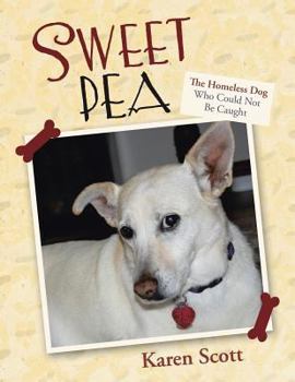 Paperback Sweet Pea: The Homeless Dog Who Could Not Be Caught Book