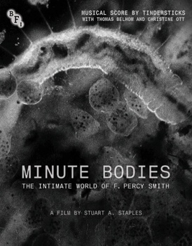 Minute Bodies