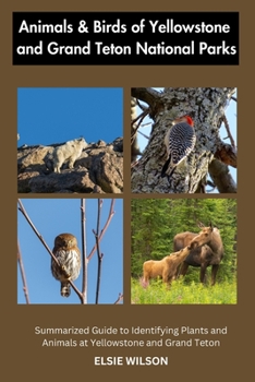 Paperback Animals and Birds of Yellowstone and Grand Teton National Parks: Guide to Exploring Animals and Birds of Yellowstone and Grand Teton Book