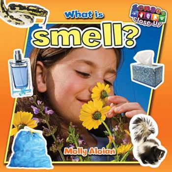 Paperback What Is Smell? Book