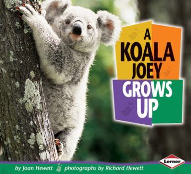 Paperback A Koala Joey Grows Up Book