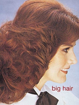 Hardcover Big Hair Book