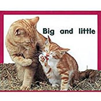 Paperback Big and Little: Leveled Reader Bookroom Package Magenta (Level 2) Book