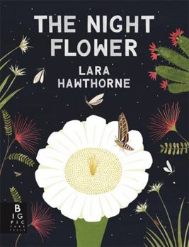 Hardcover Night Flower Book