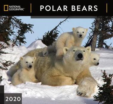 Calendar Cal 2020-National Geographic Polar Bears Wall Book