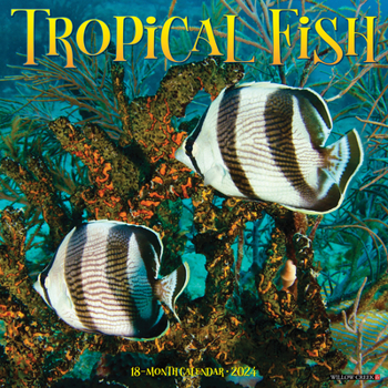 Calendar Tropical Fish 2024 12 X 12 Wall Calendar Book