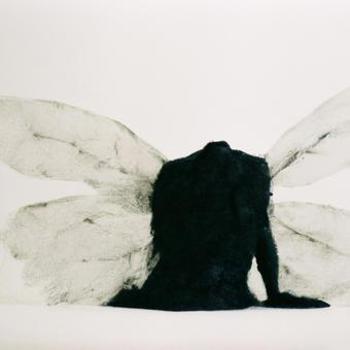 Vinyl When It's All Over Book