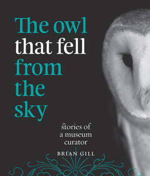 Paperback The Owl That Fell from the Sky: Stories of a Museum Curator Book