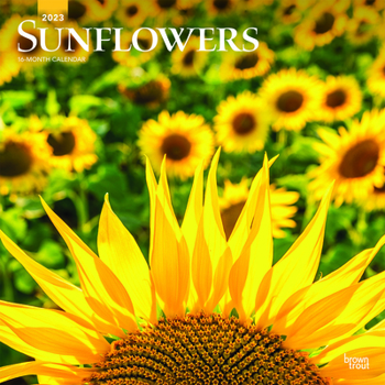 Calendar Sunflowers 2023 Square Book