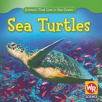 Sea Turtles - Book  of the Animals That Live in the Ocean