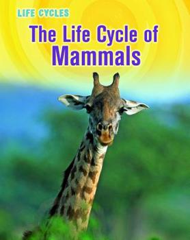 Paperback The Life Cycle of Mammals Book