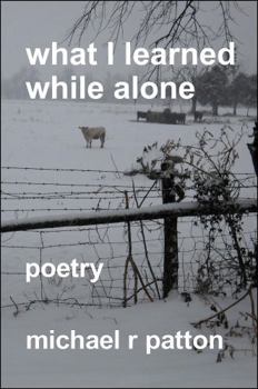 Paperback What I Learned While Alone Book