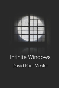 Paperback Infinite Windows Book