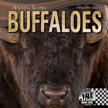 Buffaloes - Book  of the Animal Icons