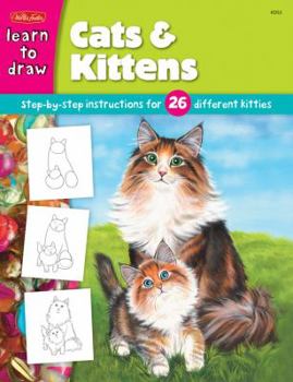 Paperback Cats & Kittens: Step-By-Step Instructions for 26 Different Kitties Book