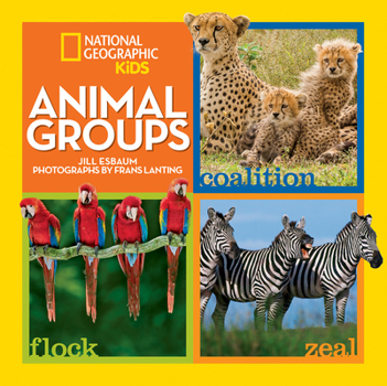 Hardcover Animal Groups Book