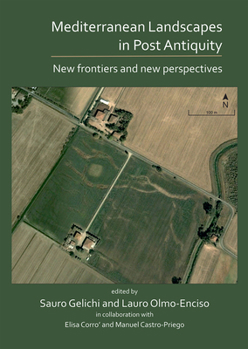 Paperback Mediterranean Landscapes in Post Antiquity: New Frontiers and New Perspectives Book