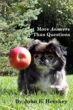 Paperback More Answers than Questions Book