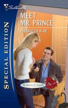Meet Mr. Prince - Book #8 of the Hunt for Cinderella