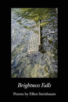 Paperback Brightness Falls Book