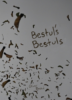 Paperback Bestul's Bestuls Book