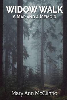 Paperback Widow Walk Book