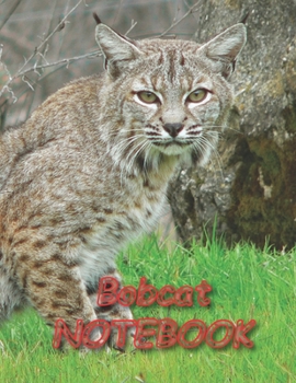 Paperback Bobcat NOTEBOOK: notebooks and journals 110 pages (8.5"x11") Book