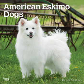 Calendar American Eskimo Dogs 2024 Square Book