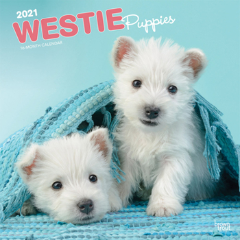 Calendar West Highland White Terrier Puppies 2021 Square Book