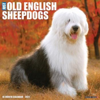 Old English Sheepdogs 2021 Wall Calendar