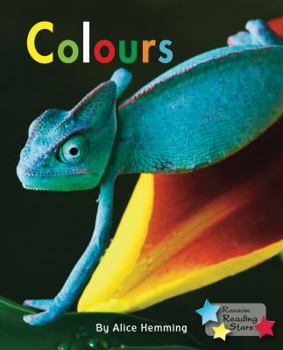 Paperback Colours Book