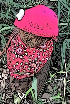 Paperback Ojizosan Book