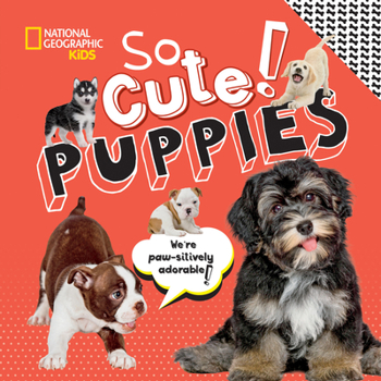 Hardcover So Cute! Puppies Book