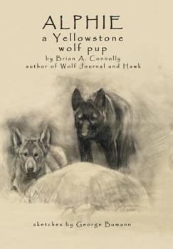 Hardcover Alphie, a Yellowstone Wolf Pup Book