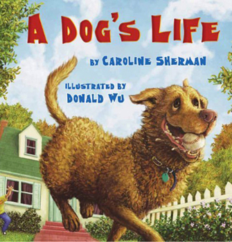 Paperback A Dog's Life Book