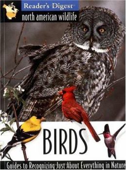 Paperback North American Wildlife: Birds Field Guide Book