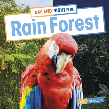 Hardcover Day and Night in the Rain Forest Book