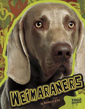 Hardcover Weimaraners Book