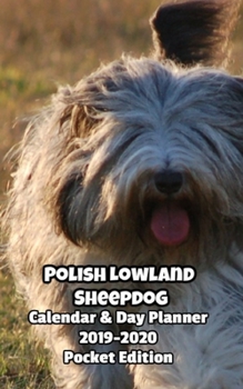 Paperback Polish Lowland Sheepdog Calendar & Day Planner 2019-2020 Pocket Edition Book